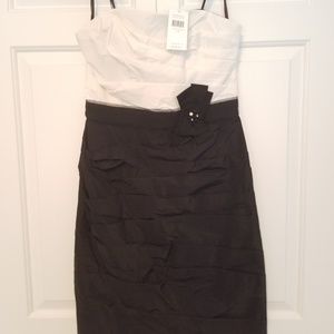 NWT Max & Cleo cocktail dress black white Sz 8